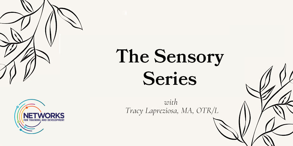 The Sensory Series